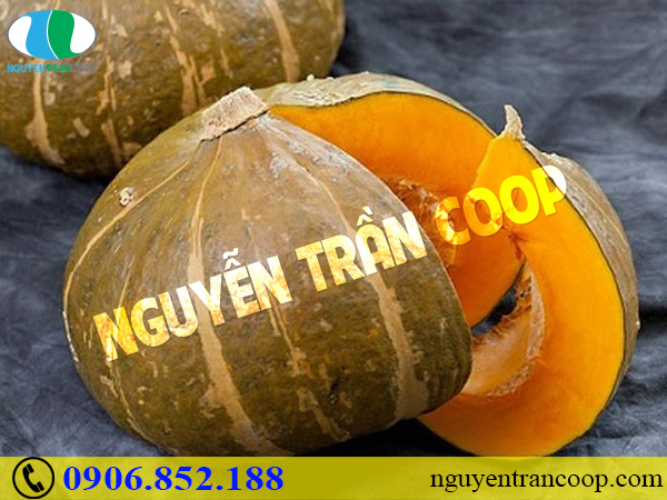 Chuyên gia gợi ý tăng cân lành mạnh bằng các loại rau quả