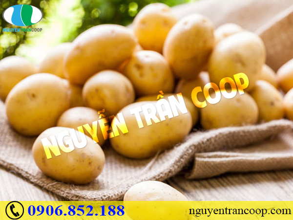 Chuyên gia gợi ý tăng cân lành mạnh bằng các loại rau quả