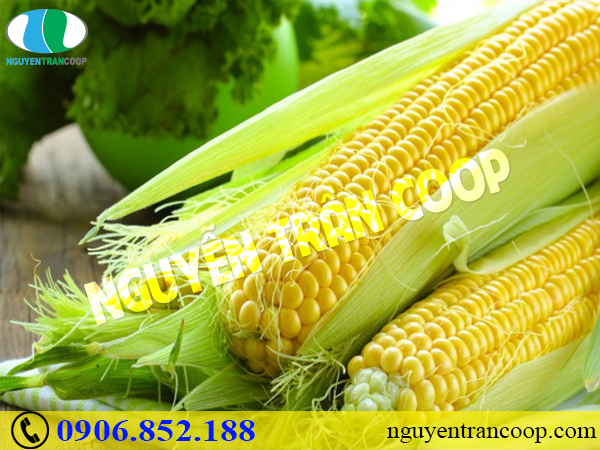 Chuyên gia gợi ý tăng cân lành mạnh bằng các loại rau quả