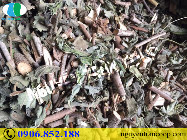 Đến bệnh viện ngay nếu có những dấu hiệu ngộ độc rượu này