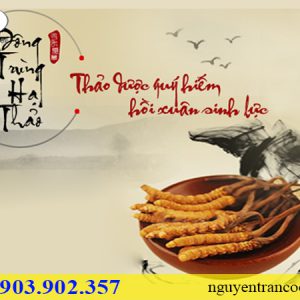 đông trùng hạ thảo