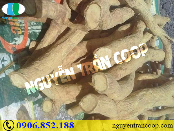 Dùng thuốc nam chữa ung thư đại tràng có được không?