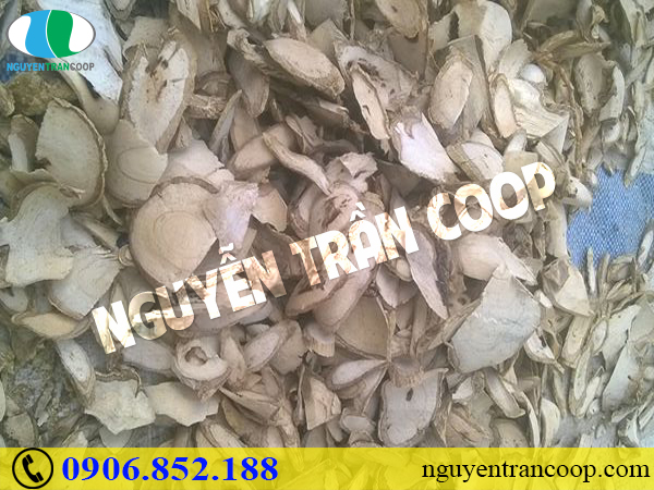 Dùng thuốc nam chữa ung thư đại tràng có được không?