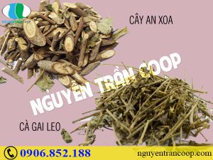 Những bài thuốc kết hợp Cây An Xoa