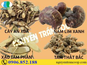 Những bài thuốc kết hợp Cây An Xoa