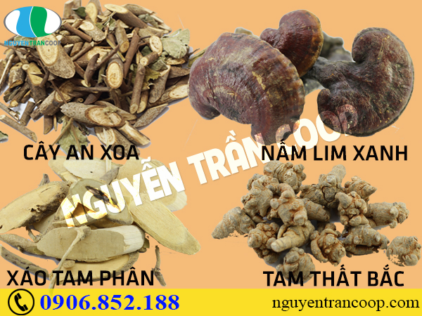 Những bài thuốc kết hợp Cây An Xoa