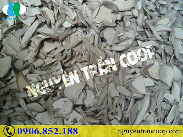 Những điều bạn cần biết về phẫu thuật ung thư gan