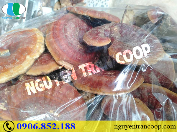 Những loại thảo dược hạ đường huyết ít người biết
