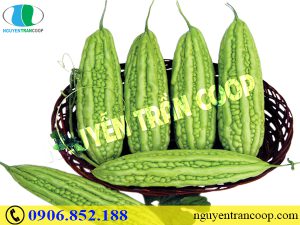 Những loại thảo dược hạ đường huyết ít người biết