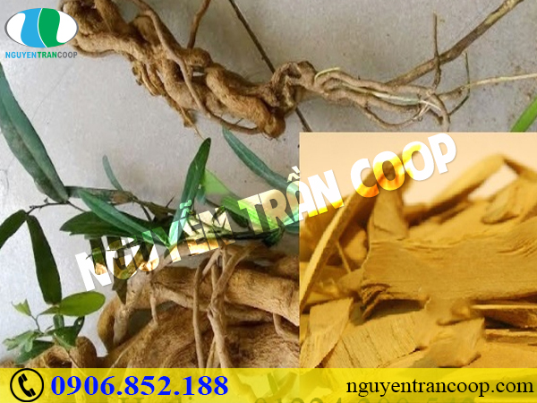 Những sự thật bạn cần biết về ung thư cổ tử cung