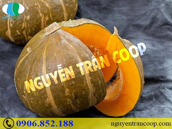 Những thực phẩm bổ máu dành cho mọi nhà