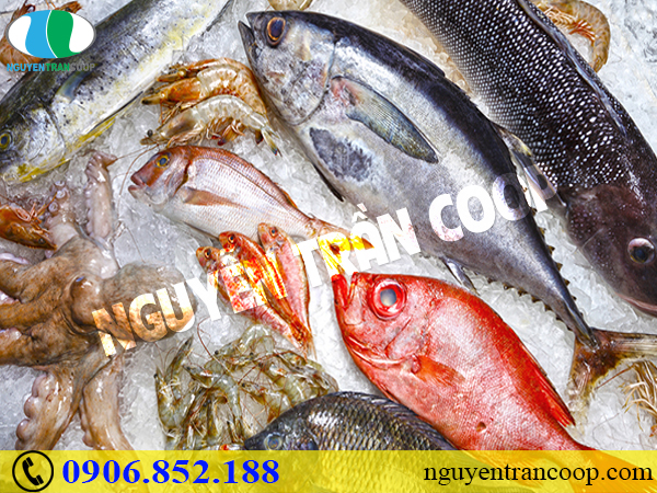 Những thực phẩm bổ máu dành cho mọi nhà