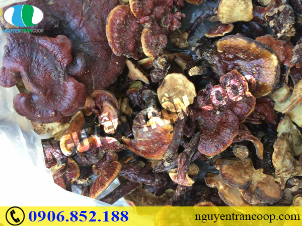 Những thức uống tốt cho tim mạch cho năm mới khỏe mạnh