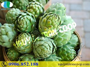 Phòng bệnh xơ vữa động mạch bằng thảo dược thiên nhiên