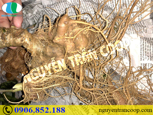 Phục hồi sau tai biến mạch máu não có khó không?