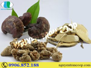 Phương pháp chữa ung thư dạ dày nào hiệu quả?