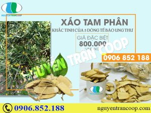 Sự thật Xáo Tam Phân và tác dụng chữa ung thư gan?