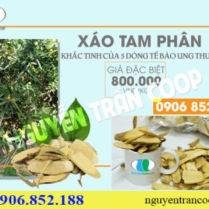 Sự thật Xáo Tam Phân và tác dụng chữa ung thư gan?