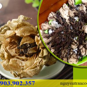 thiên sơn tuyết liên