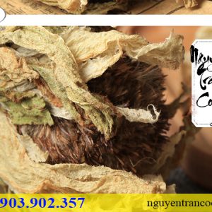 THIÊN SƠN TUYẾT LIÊN