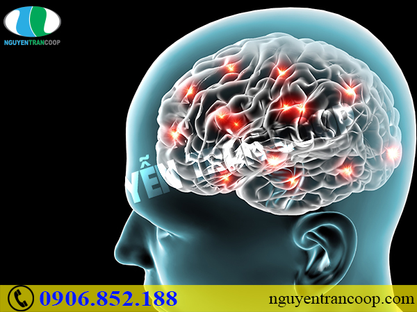 Thói quen giúp tăng cân an toàn và bền vững