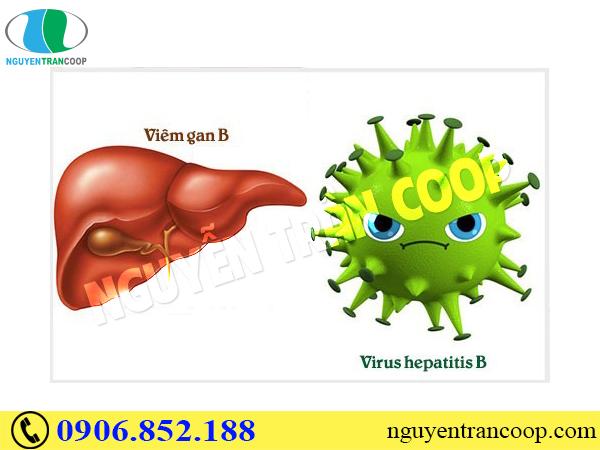 Thực hư Cây An Xoa chữa bệnh viêm gan B