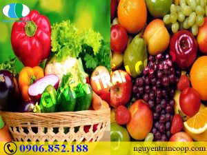 Top 5 loại thực phẩm chống ung thư gan ai cũng cần biết