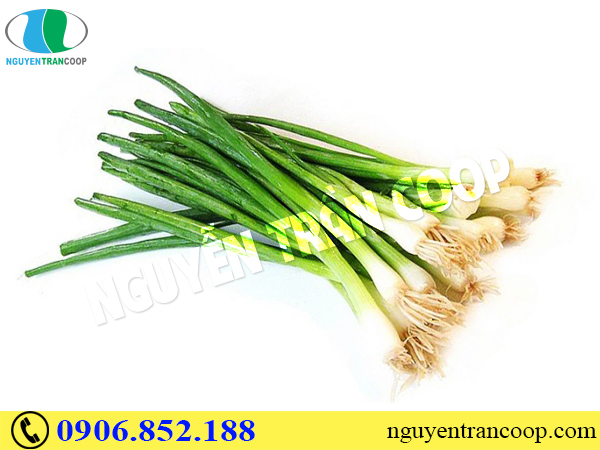 Top 5 loại thực phẩm chống ung thư gan ai cũng cần biết