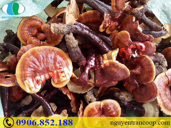 Top 6 thực phẩm phòng bệnh tiểu đường siêu hiệu quả