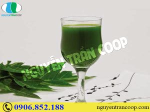 Bài thuốc chữa ung thư phổi từ cây thuốc Nam