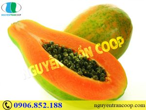 Bệnh nhân ung thư cổ tử cung nên ăn gì?