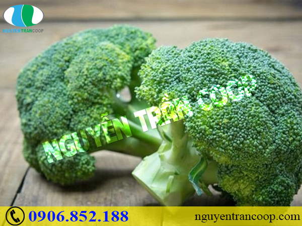 Bệnh nhân ung thư cổ tử cung nên ăn gì?