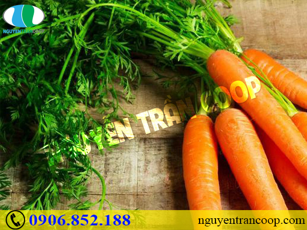 Bệnh nhân ung thư cổ tử cung nên ăn gì?