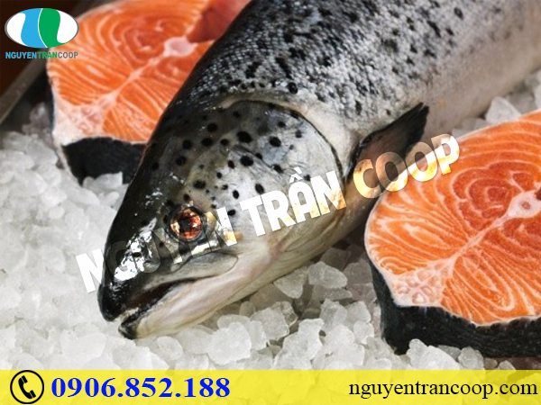 Bệnh nhân ung thư cổ tử cung nên ăn gì?