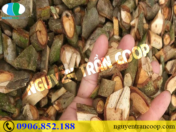 Biến chứng nguy hiểm của gan nhiễm mỡ giai đoạn cuối