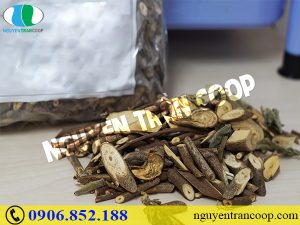 Cây An Xoa chữa viêm gan B dùng như thế nào?