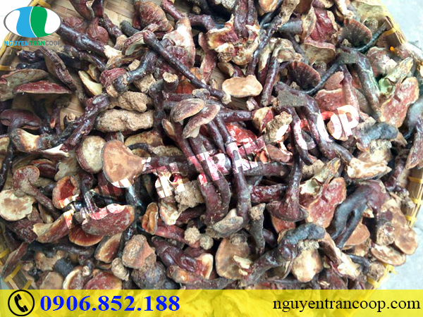 Chuyên gia bật mí: Ăn gì để chống ung thư phổi?