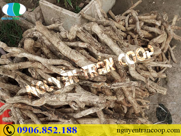 Dấu hiệu mắc bệnh ung thư không nên bỏ qua