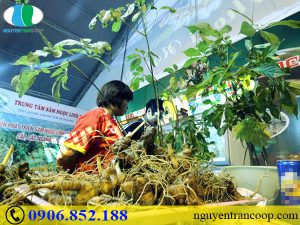 Ít ai biết đến những dấu hiệu suy nhược cơ thể này