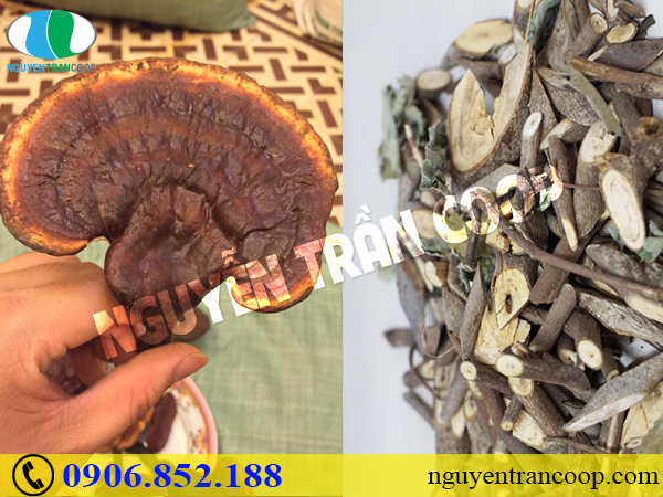Làm sao để giảm nguy cơ ung thư gan?