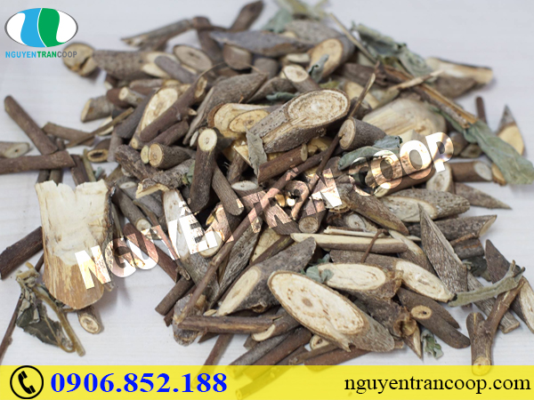 song-chung-voi-viem-gan-b-man-tinh-nhu-the-nao