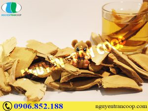 te-bao-ung-thu-phat-trien-va-pha-huy-co-the-nhu-the-nao