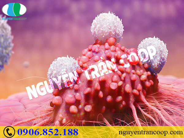 Ức chế tế bào ung thư - Liệu có được hay không?