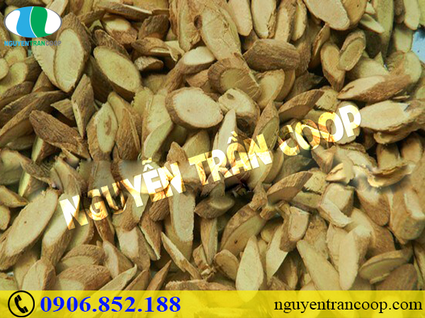 Ức chế tế bào ung thư - Liệu có được hay không?