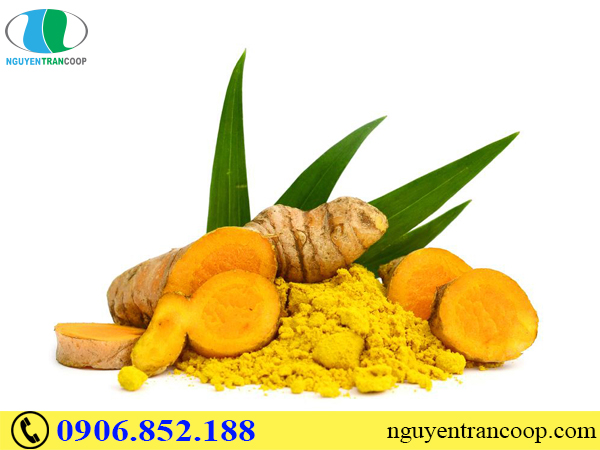 Bài thuốc hỗ trợ chữa ung thư dạ dày từ Đông y