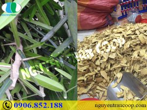 Chi phí chữa ung thư đại tràng hiện nay là bao nhiêu?