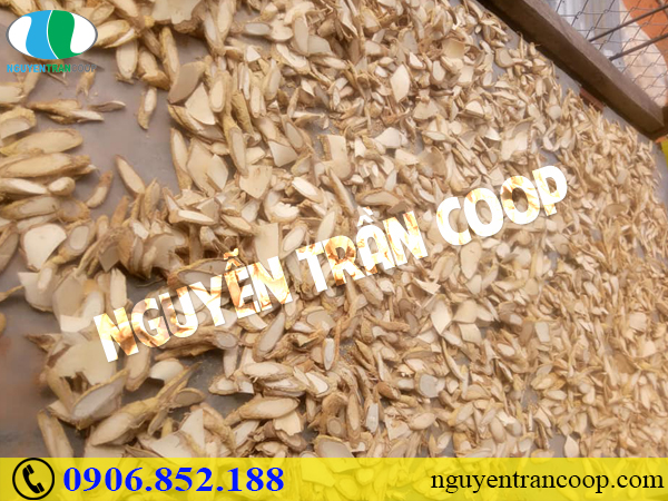 Chi phí phẫu thuật ung thư cổ tử cung có đắt không?