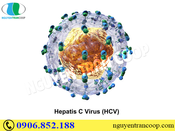 Chữa viêm gan C như thế nào để không hủy hoại lá gan?