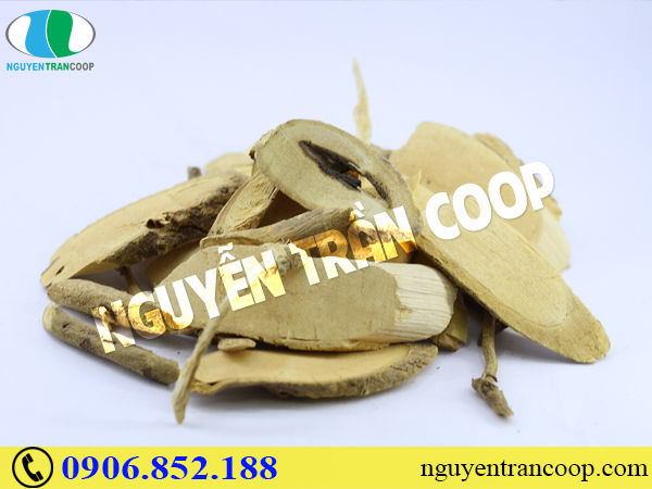 Đã tìm ra những cây thuốc chữa ung thư đại tràng hiệu quả