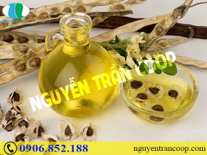 Mua Hạt Chùm Ngây ở đâu giá rẻ, chất lượng tốt?